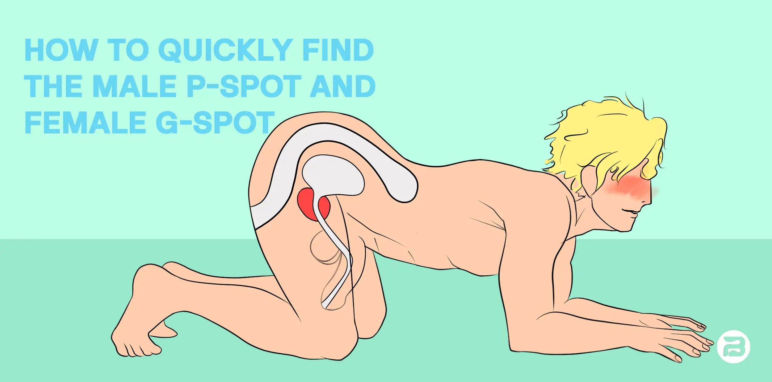 Illustrated guide showing male P-spot location through anatomical diagram, BEISAR educational content