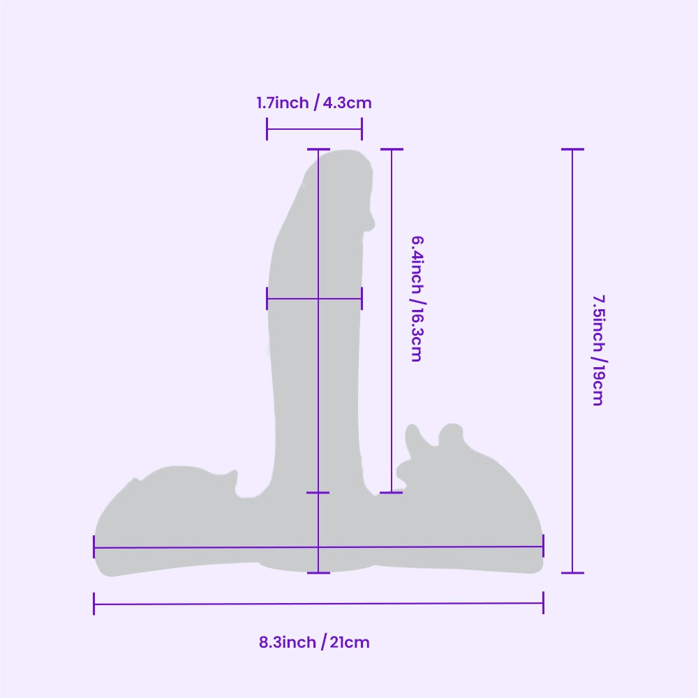 Detailed dimensions of BEISAR Dynamo