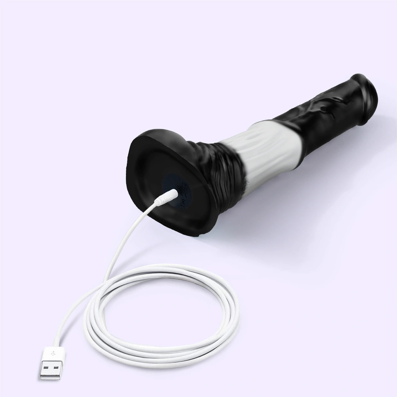 BEISAR Faunus black white charging port detail