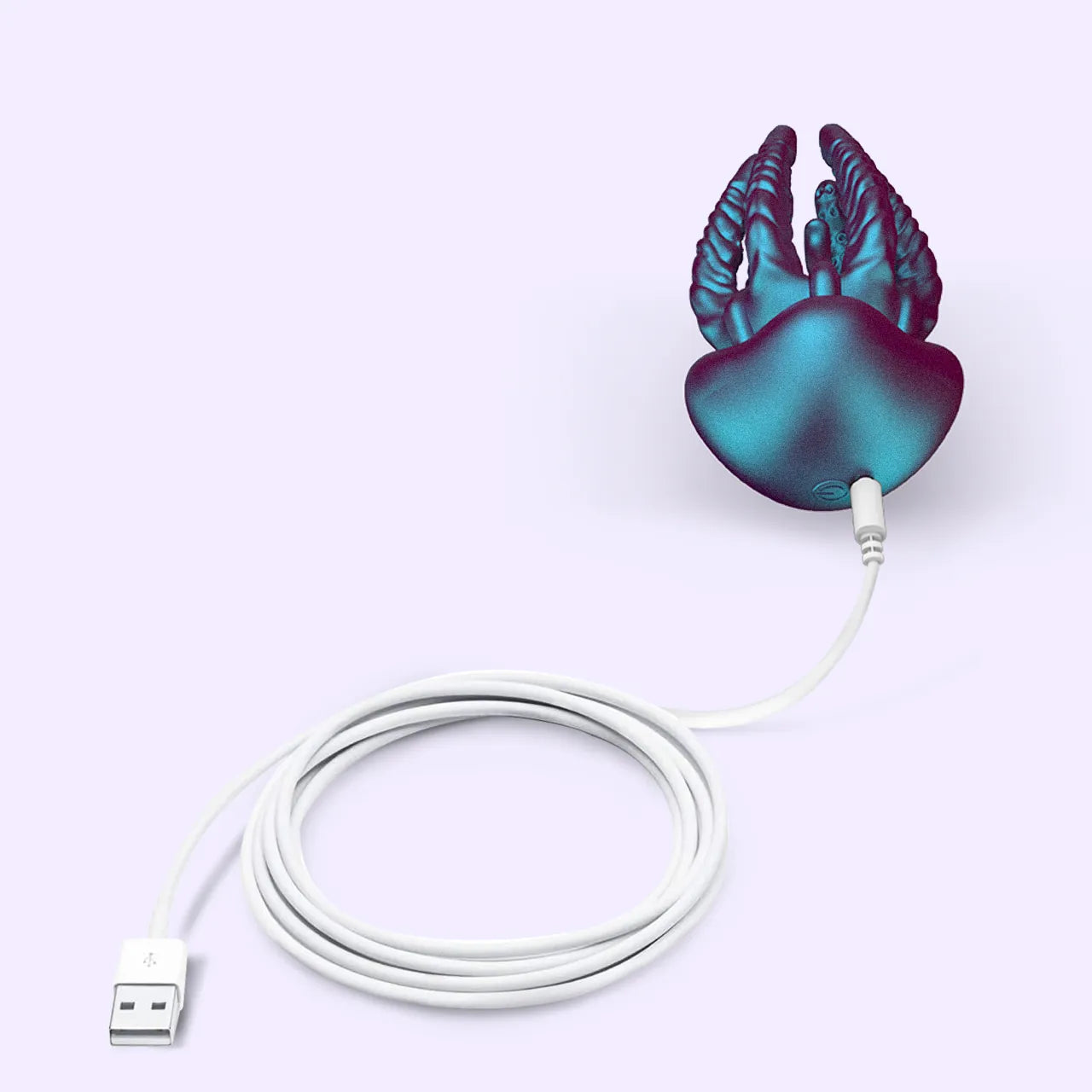 BEISAR Locks magnetic charging port waterproof detail