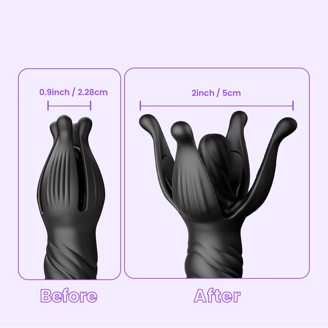 BEISAR Pardus before and after expansion size comparison