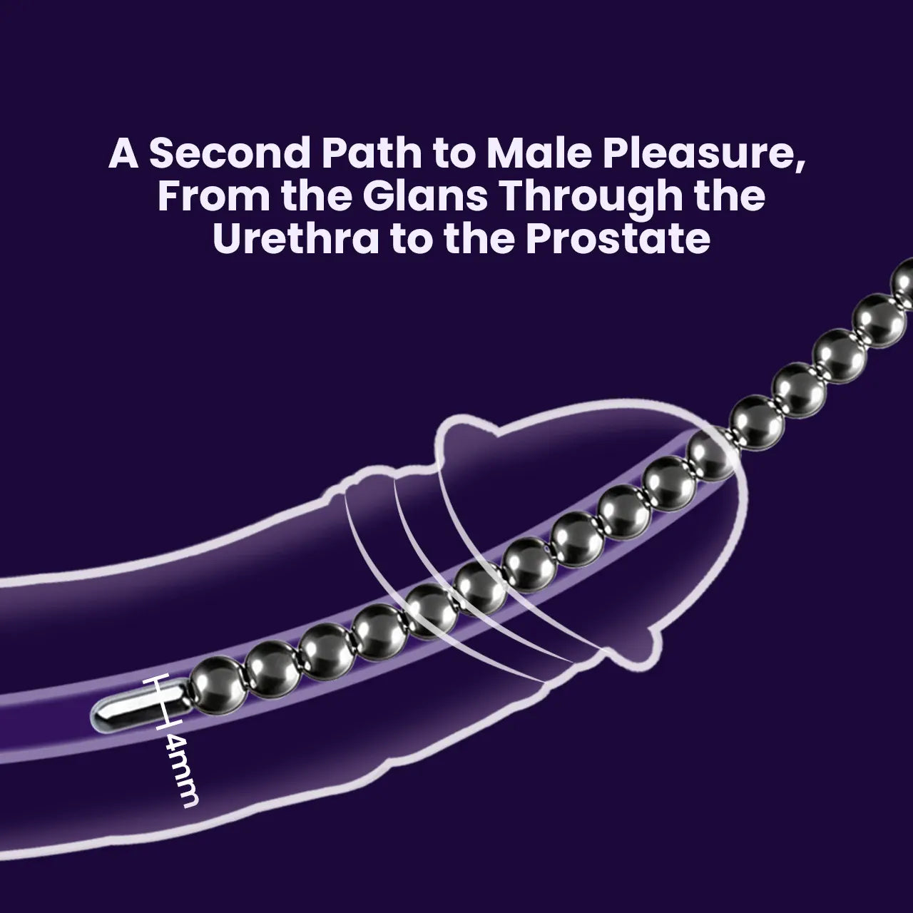 BEISAR Priapus urethral sound close-up illustration showing insertion positioning and product design