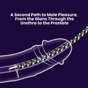 BEISAR Priapus urethral sound close-up illustration showing insertion positioning and product design