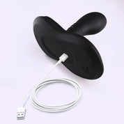 BEISAR Robinson USB charging port