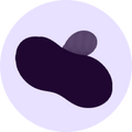 Powerful Suction Base