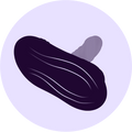 Powerful Suction Base