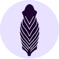 Ribbed Texture