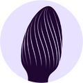Spiral Texture