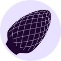Spiral Texture