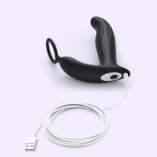 Pau charging port product image