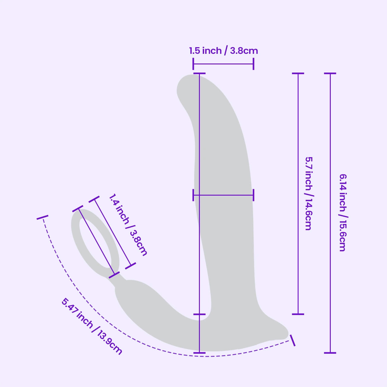 Pau detailed dimensions image