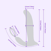 Pau detailed dimensions image