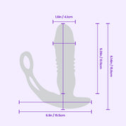 Petalwish 3 detailed dimensions image